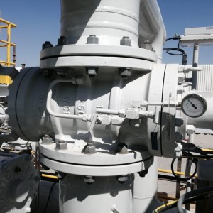 DBB Plug Valve