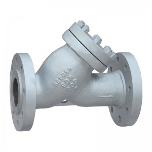 Y strainer